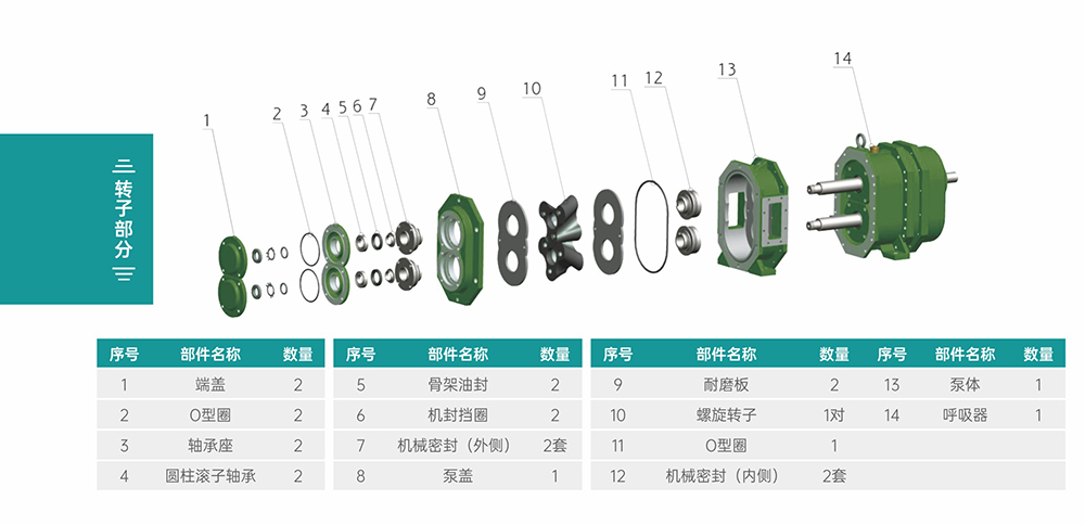 GS/DR系列凸轮丝瓜视频18勿入转子部分结构图